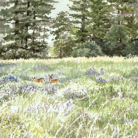 Between Breaths _Redwoods