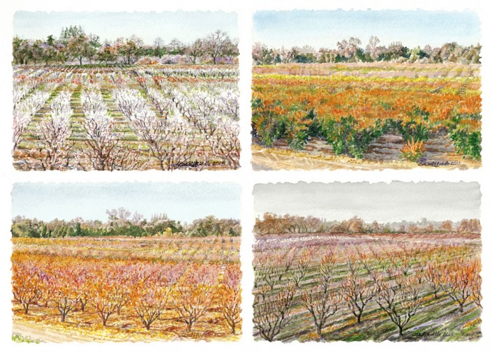 Boos Farm | 10" x 14" Original Watercolor (SOLD) Prints available