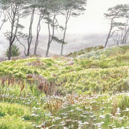 Coastal Fog
