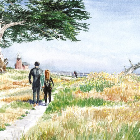 Companions, lighthouse field santa cruz