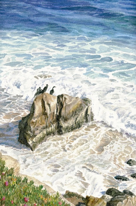 Cormorants, Santa Cruz, Ca.