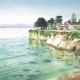 Cowells Beach Surf Break