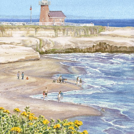 Dog Beach