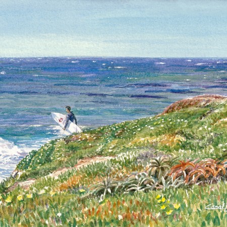 Down to the Surf. santa cruz