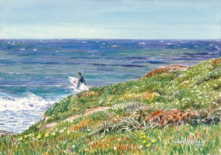 Down to the Surf. santa cruz