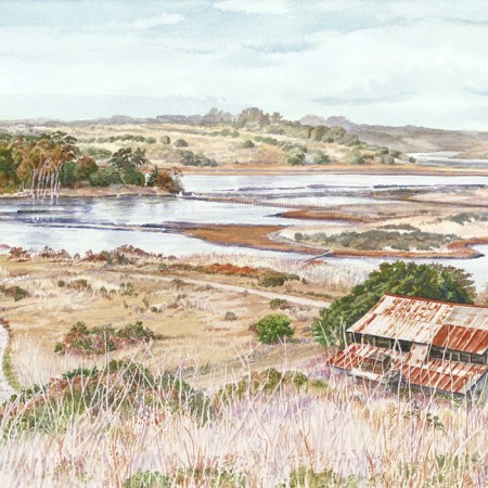 Elkhorn Slough