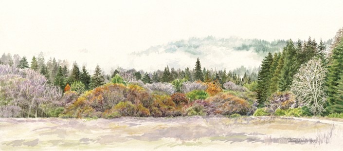 Fall Meadow