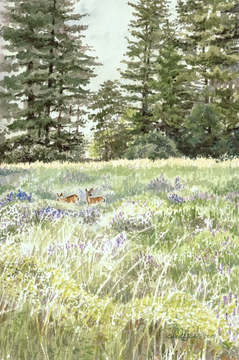 Meadow At Henry Cowell