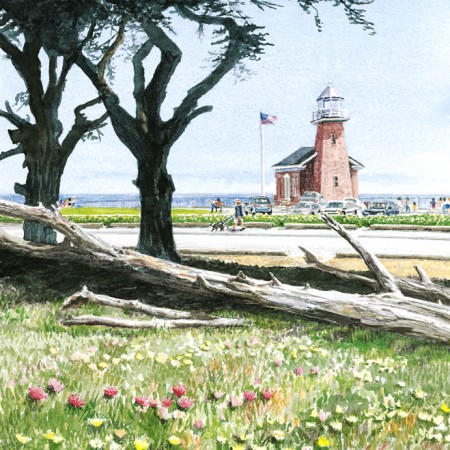 Lighthouse Field State Park