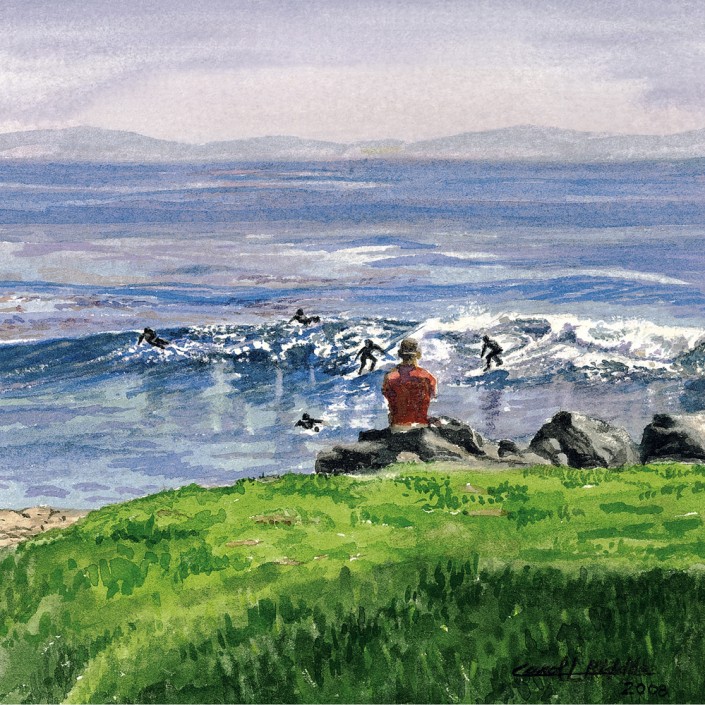 Observer, santa cruz, ca.