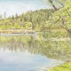 Quail Hollow Pond | 10" x 14" Original Watercolor (SOLD) Prints available