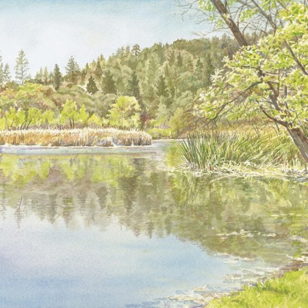 Landscapes