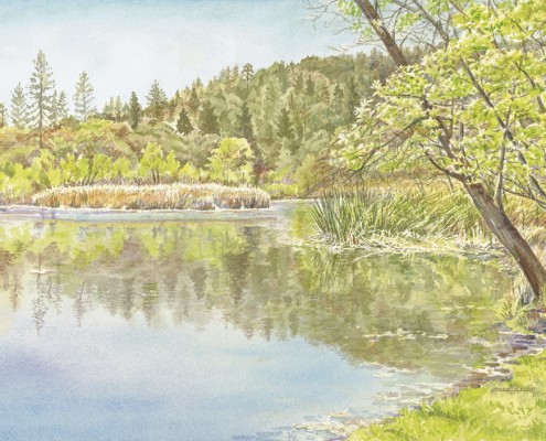 Quail Hollow Pond | 10" x 14" Original Watercolor (SOLD) Prints available