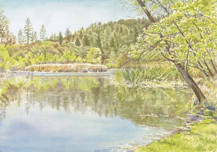 Quail Hollow Pond | 10" x 14" Original Watercolor (SOLD) Prints available