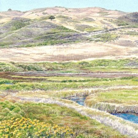 Scott Creek, North Coast California
