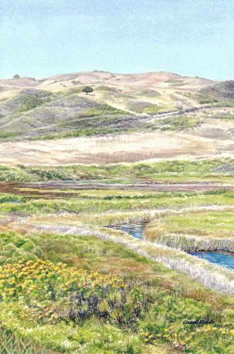 Scott Creek, North Coast California