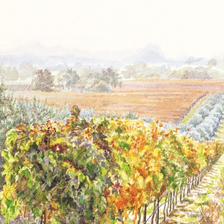 Vineyard Morning | 9" x 12" Original Watercolor (SOLD) Prints available