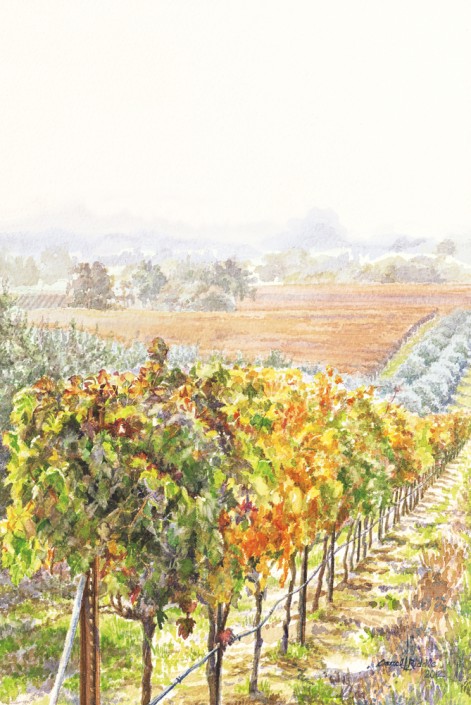 Vineyard Morning | 9" x 12" Original Watercolor (SOLD) Prints available