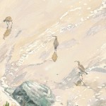 Whimbrels at Natural Bridges